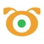 Logo Synagistics Ltd.