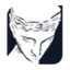 Synektik S.A. logo