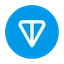 Logo TON Strategy Co