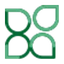 Transition Evergreen logo
