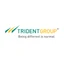 Logo Trident Limited