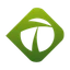 Tycoon Group Holdings Ltd. logo