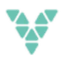 Logo Vertical Data Inc.