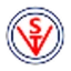 Vibhor Steel Tubes Limited logo
