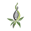Logotipo de WEED, INC.